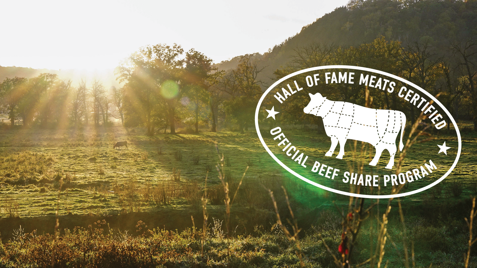 HOFM Beef Share banner