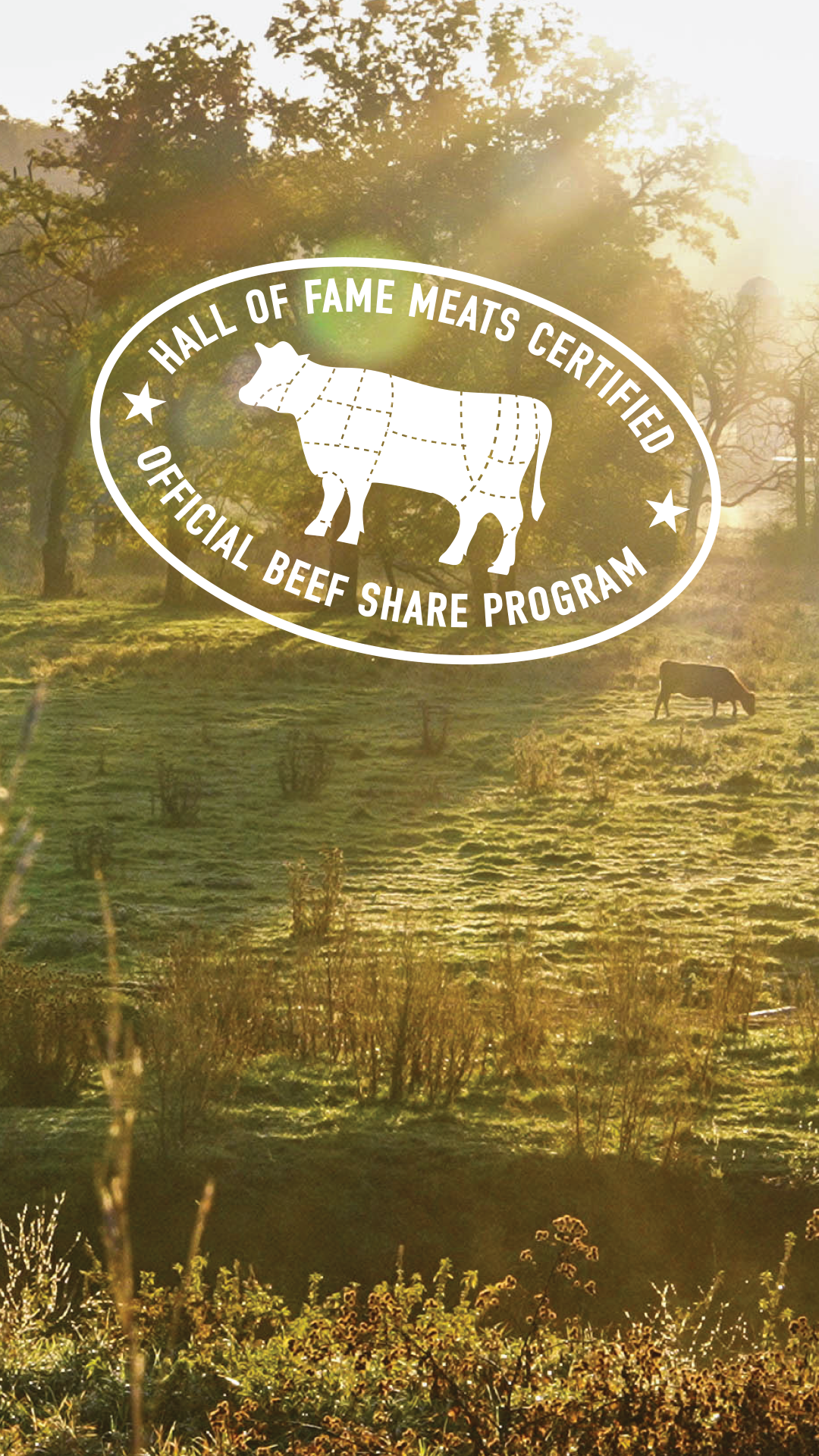 HOFM Beef Share 